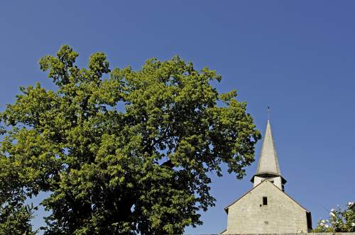 Gîte de 12 personnes en Creuse - Le clochet d'Anzeme