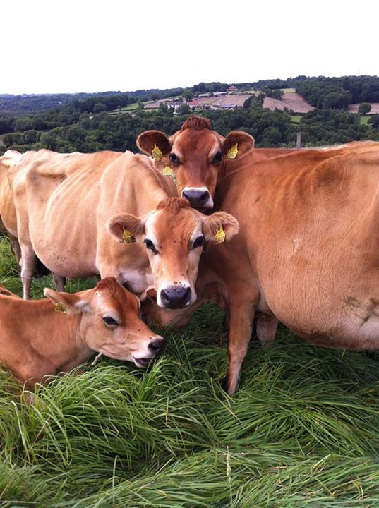 Gîte de 12 personnes en Creuse - Ferme de l'or blanc, Fabrication artisanale